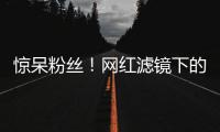 惊呆粉丝！网红滤镜下的明星长这样：赵薇眼大吓人，baby变蛇精脸