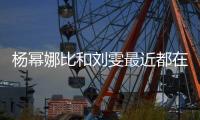 杨幂娜比和刘雯最近都在背的这款包 怕冷星人一定要来一只！