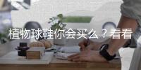 植物球鞋你会买么？看看设计师的创意！