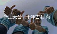 浙江天台：千年古刹 荷韵飘香